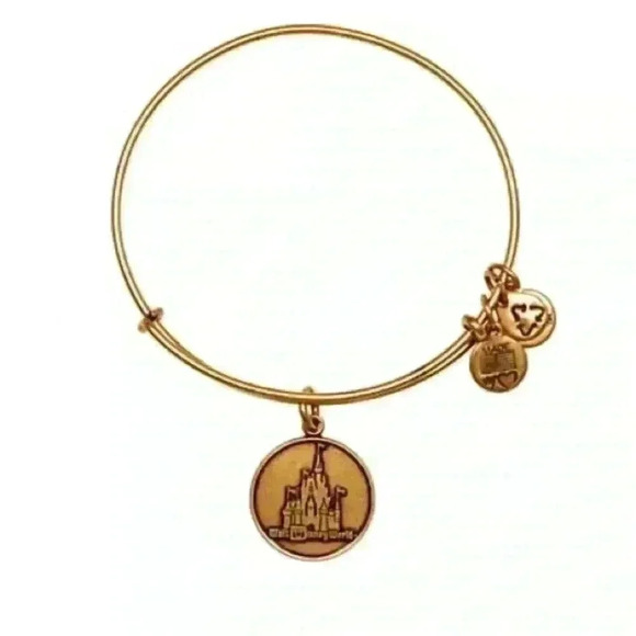Alex and Ani Walt Disney World Gold bracelet - Picture 1 of 4